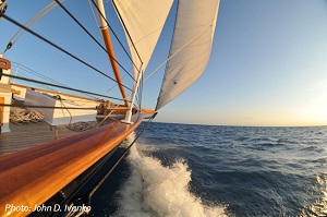 Ecotourism in Florida, Part 2: On Water and Land in the Florida Keys Image